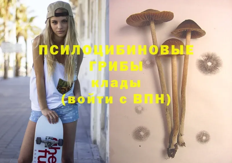 Галлюциногенные грибы Magic Shrooms  omg ссылка  Лебедянь 